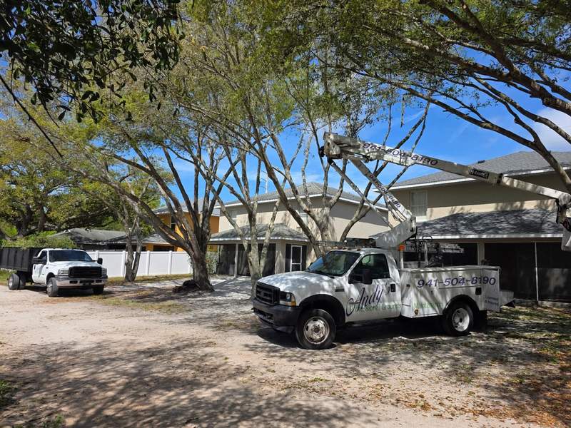 Andy's PGM bucket truck trimming large spreading shade trees outside a two-story multi-unit building, a second truck parked behind.
