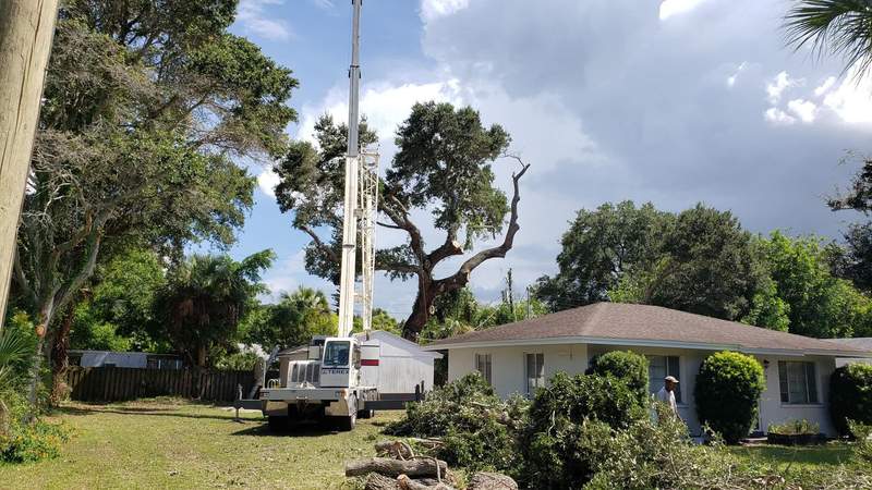 Truck-mounted crane set up in a backyard beside a single-story home, a large oak behind it and cut brush stacked on the lawn.